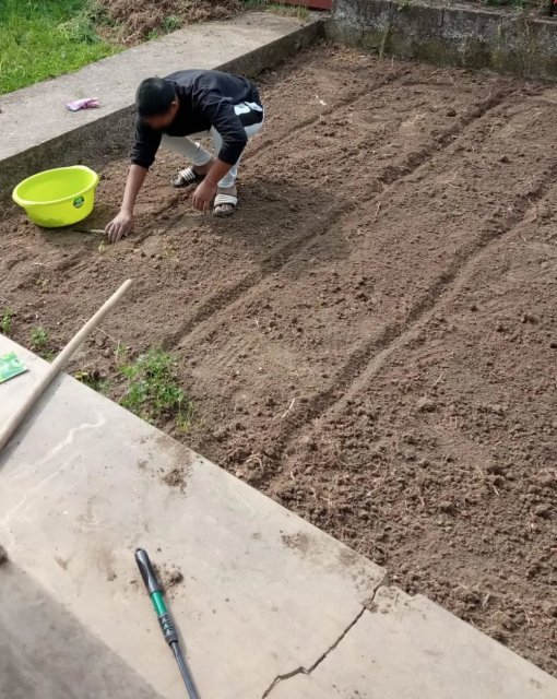 C'è qualcosa di profondamente rivoluzionario nel prendersi cura di un seme: richiede pazienza, dedizione e la capacità di saper aspettare. 🌱

Nello spazio di uno dei nostri Centri di Accoglienza, i beneficiari hanno dato vita a un vero e proprio orto comunitario. Giorno dopo giorno, con le loro mani, hanno preparato il terreno, piantato e irrigato, trasformando un semplice pezzo di terra in un luogo di incontro, crescita e condivisione.🤲🏼

Questo orto ci insegna una lezione fondamentale che applichiamo ogni giorno nel nostro lavoro: l'importanza della cura.
Curare la terra significa rispettare i suoi tempi, proteggere la fragilità dei primi germogli e gioire per i primi frutti. Curare le persone segue la stessa identica armonia. Significa ascoltare, accogliere la storia di ciascuno, offrire un terreno fertile e sicuro in cui rimettere radici e dare ad ognuno il tempo necessario per fiorire di nuovo.
Non stiamo solo coltivando ortaggi. Stiamo coltivando relazioni, fiducia nel futuro e un forte senso di comunità 🫂👥